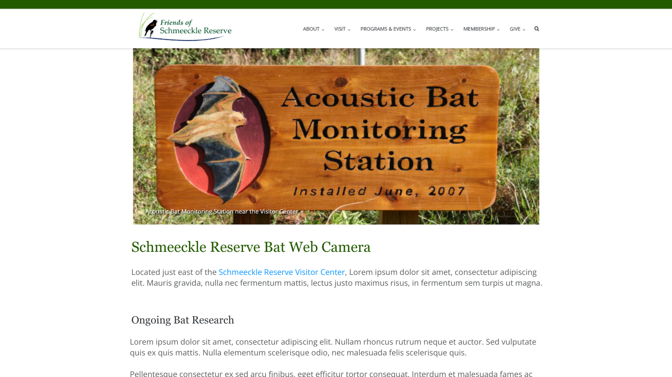 A photo of a bat webcam page on the friend's of schmeeckle website